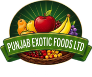 est 2005 (8)