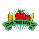 punjab exotic foods ltd logo