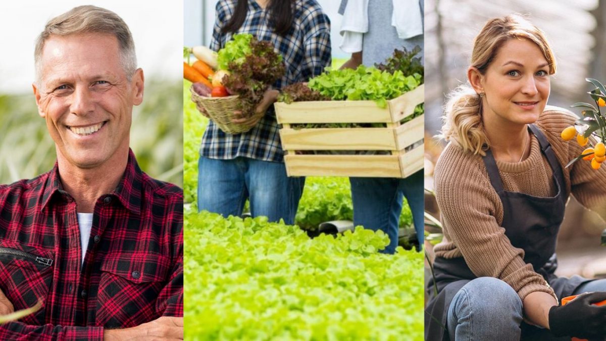 Wholesale Vegetables UK