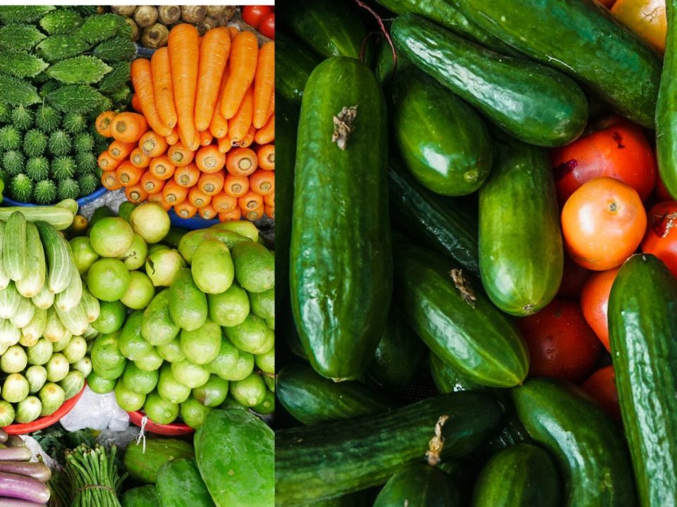 Bulk Vegetables Supplier